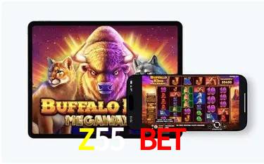Seasonal Promotions Z55 Bet